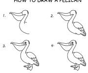 Coloriage et dessins gratuit Apprendre &agrave; dessiner un p&eacute;lican &eacute;tape par &eacute;tape à imprimer