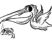 Coloriage et dessins gratuit Caricature de P&eacute;lican à imprimer