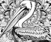 Coloriage Complexe p&eacute;lican pour adulte