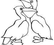 Coloriage Deux petits p&eacute;licans
