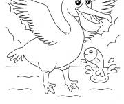 Coloriage L'heureux p&eacute;lican trouve sa nourriture