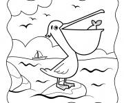 Coloriage et dessins gratuit Le tout petit p&eacute;lican cherche sa nourriture à imprimer
