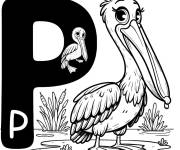 Coloriage Lettre P pour p&eacute;lican