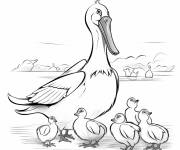 Coloriage Maman p&eacute;lican avec ses b&eacute;b&eacute;s