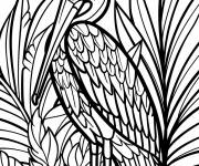 Coloriage Paysage du p&eacute;lican parmi les plantes