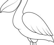 Coloriage P&eacute;lican aimable