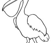 Coloriage P&eacute;lican au crayon