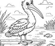 Coloriage P&eacute;lican au port