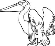 Coloriage et dessins gratuit P&eacute;lican blanc à imprimer