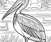 Coloriage P&eacute;lican dans la foret