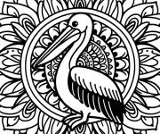 Coloriage P&eacute;lican en mandala