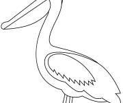 Coloriage P&eacute;lican en noir et blanc