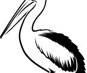 Coloriage P&eacute;lican facile