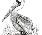 Coloriage P&eacute;lican parmi des jolies fleurs