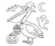 Coloriage et dessins gratuit P&eacute;lican pour Halloween à imprimer