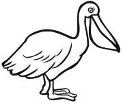 Coloriage P&eacute;lican pour maternelle