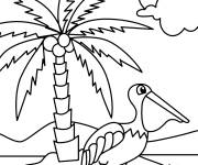 Coloriage P&eacute;lican pr&egrave;s d'un arbre tropical