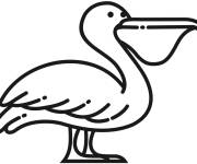 Coloriage P&eacute;lican ps