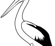 Coloriage P&eacute;lican simple