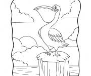 Coloriage P&eacute;lican sur la plage de dessin anim&eacute;