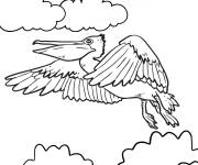 Coloriage P&eacute;lican volant sous le soleil
