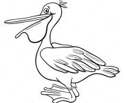 Coloriage P&eacute;lican vue de gauche