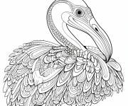 Coloriage P&eacute;lican Zentangle