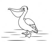 Coloriage Petit P&eacute;lican mignon