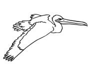 Coloriage et dessins gratuit Sc&egrave;ne de p&eacute;lican dans le ciel à imprimer
