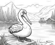 Coloriage Sc&egrave;ne de p&eacute;lican sur le lac r&eacute;aliste