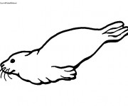 Coloriage Phoque aimable