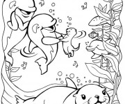Coloriage Phoque et ses amis dans la mer