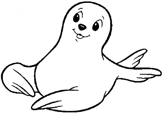 Coloriage Phoque souriant dessin gratuit à imprimer