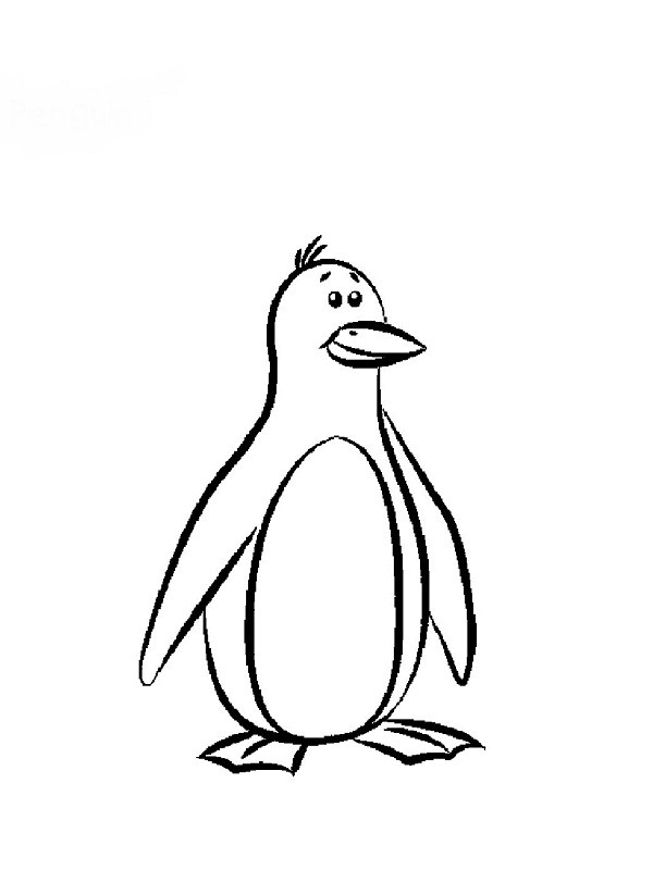 Coloriage et dessins gratuits Dessin de Pingouin à imprimer