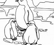Coloriage La famille de Pingouin