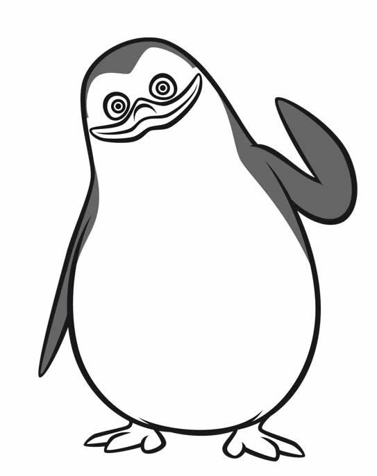 Coloriage Pingouin banquise dessin gratuit à imprimer
