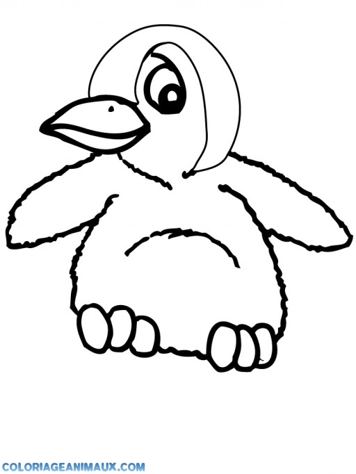 Coloriage et dessins gratuits Pingouin dessin couleur à imprimer