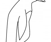 Coloriage Pingouin simple