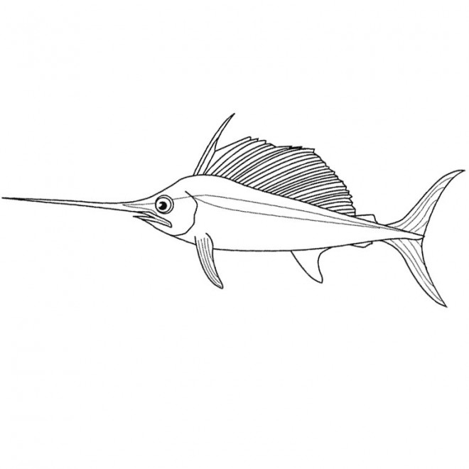 Coloriage et dessins gratuits Espadon poisson à imprimer