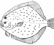 Coloriage Poisson à quatre yeux