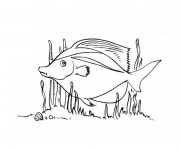 Coloriage Poisson mignon en train de nager