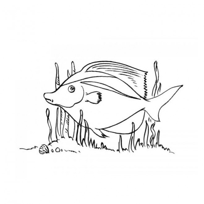 Coloriage et dessins gratuits Poisson mignon en train de nager à imprimer