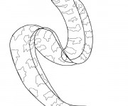 Coloriage Serpent de mer