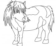 Coloriage Poney mange de l'herbe