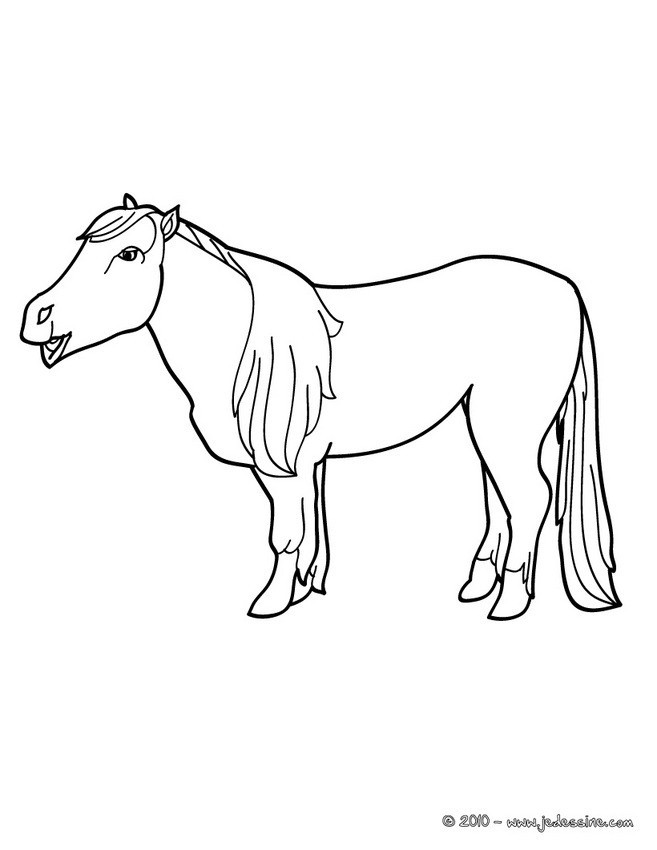 Coloriage De Poney A Imprimer Gratuit