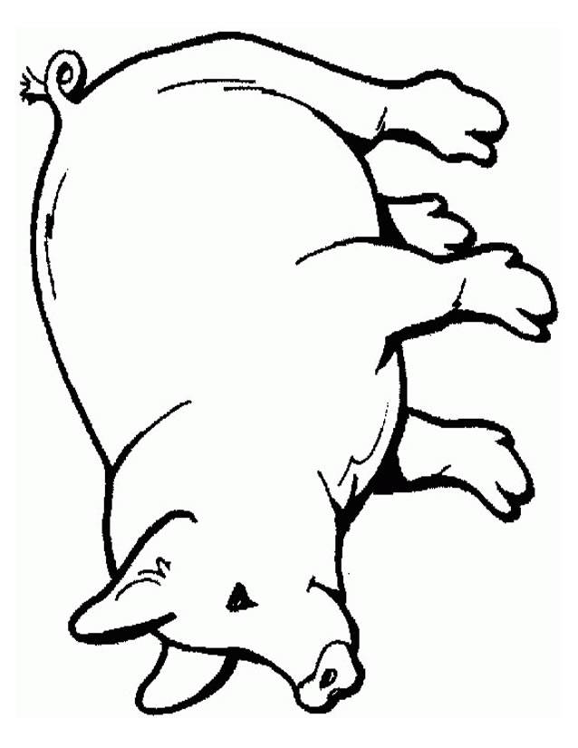 Coloriage et dessins gratuits Cochon maternelle facile à imprimer