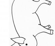 Coloriage Porc simple