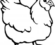 Coloriage Poule 1