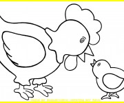 Coloriage et dessins gratuit Poule 13 à imprimer