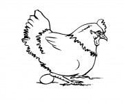 Coloriage Poule 23
